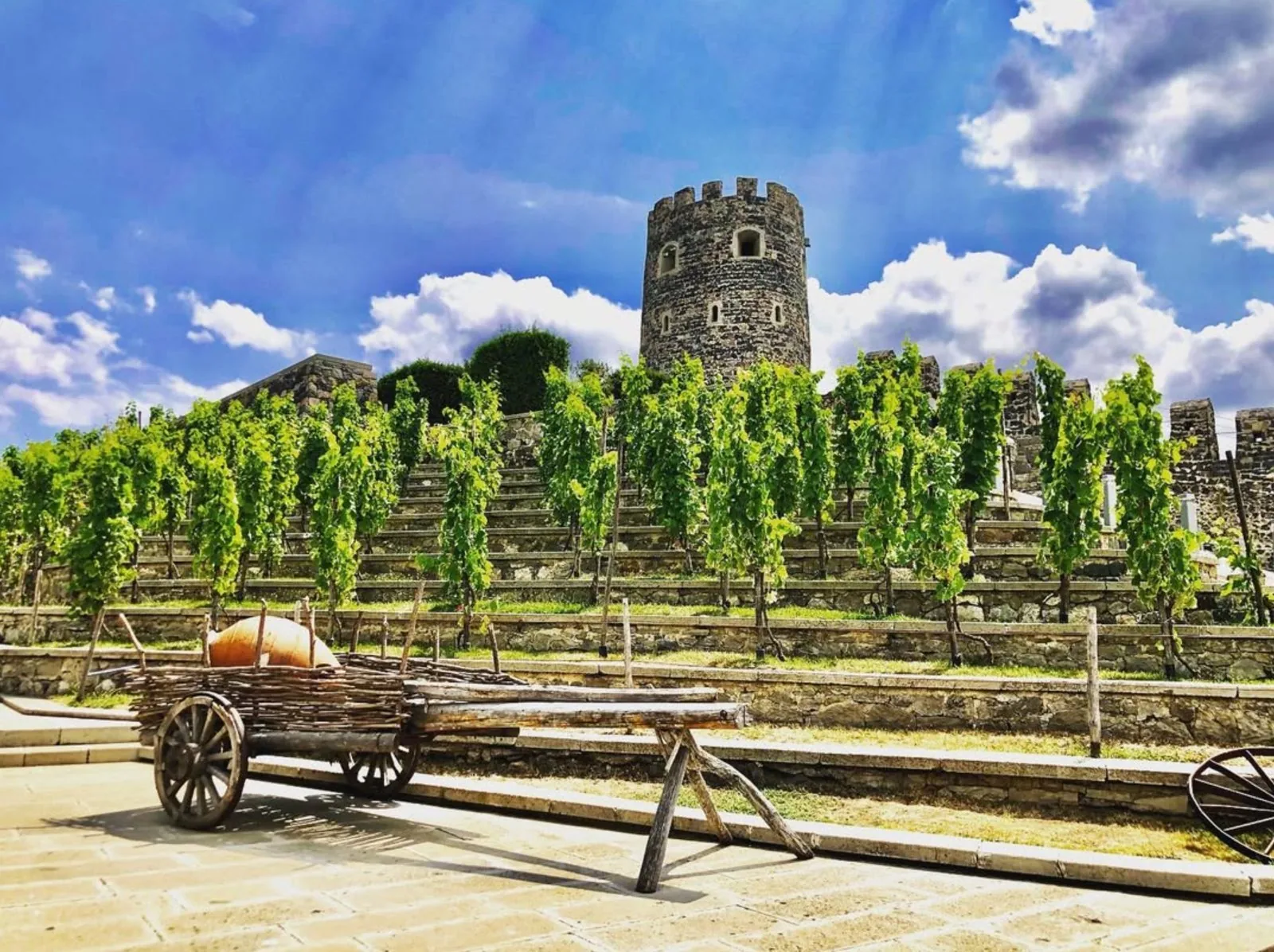 Old watchtower above vineyard rows in Kakheti