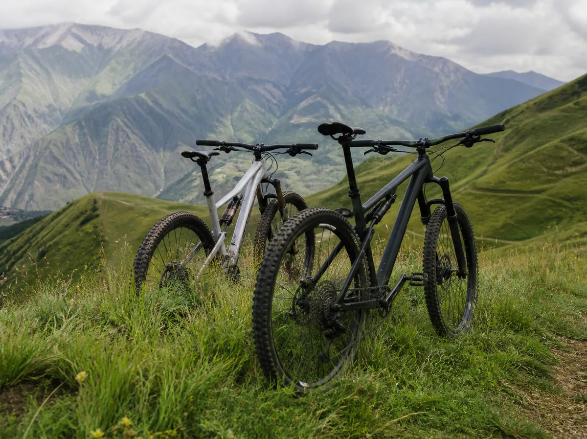 Two mountain bikes resting on a green hillside